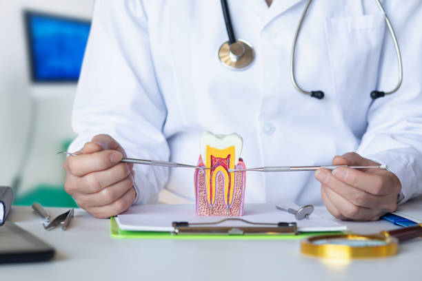 Best Emergency Root Canal Treatment in Riverview, DE